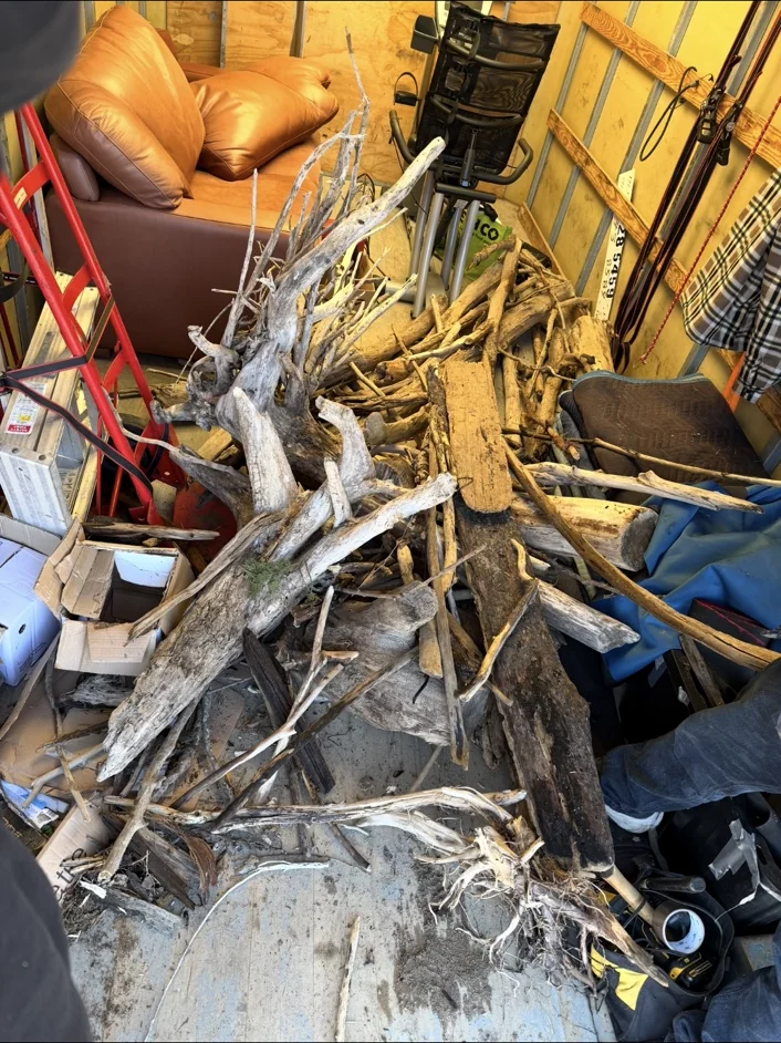 Yard debris and wood loaded for removal